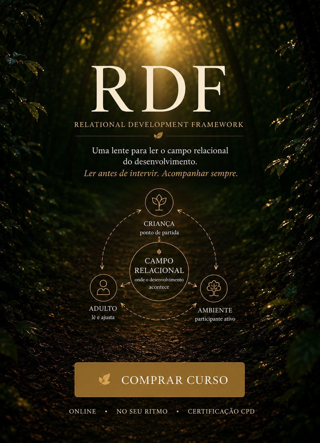 Relational Development Framework (RDF) — uma nova forma de olhar o desenvolvimento
